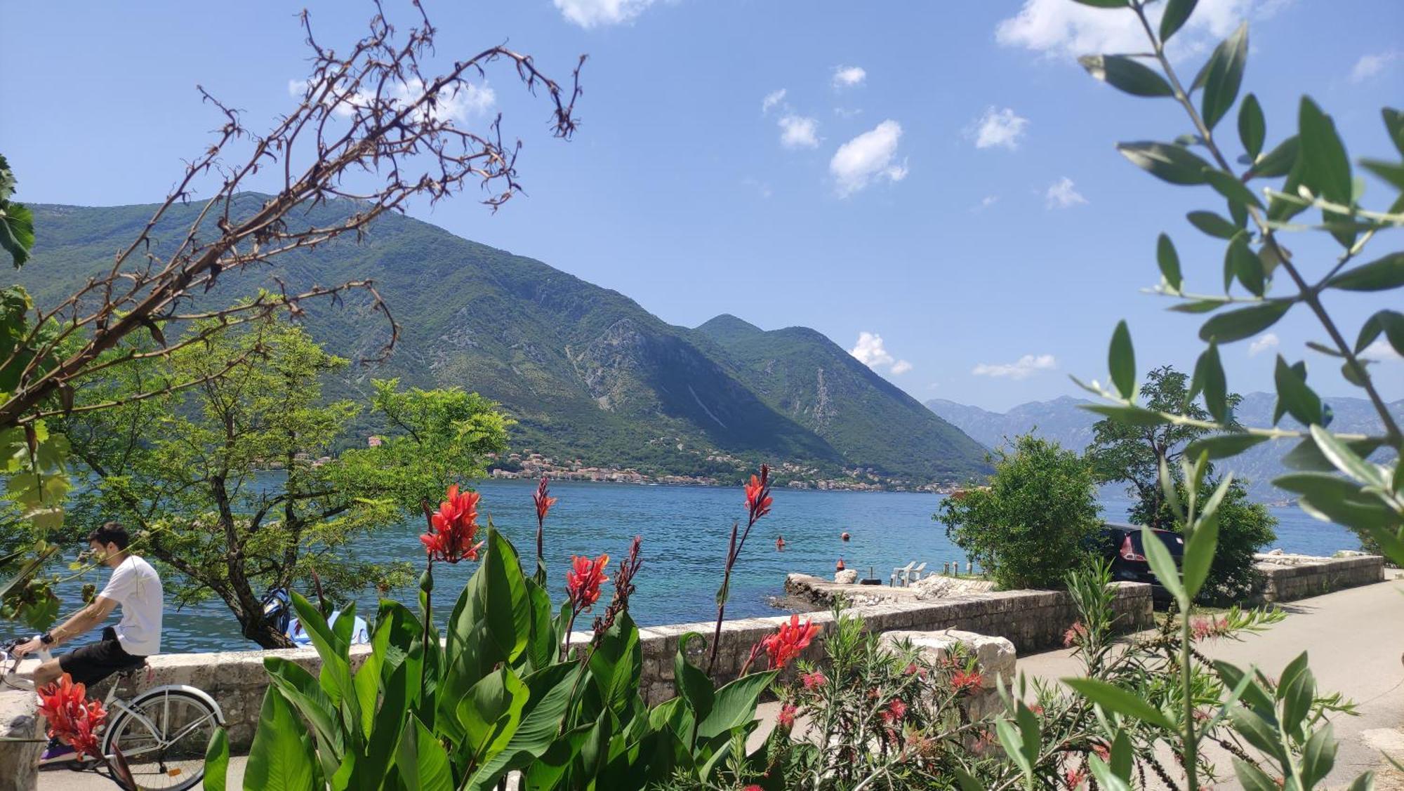 Kadena Apartments Kotor Dış mekan fotoğraf